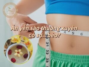 Ăn yến sào có gây béo phì không