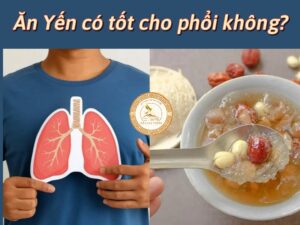Ăn Yến Sào Có Giúp Cải Thiện Chức Năng Phổi Không