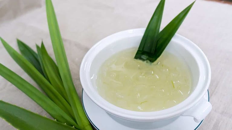 Món yến chưng hạt sen lá dứa thơm ngon bổ dưỡng