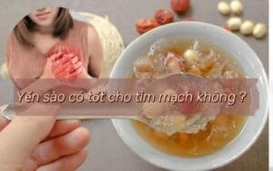 Yến sào có tốt cho tim mạch không